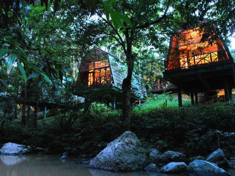 Cabins at night at Tabin Wildlife Resort