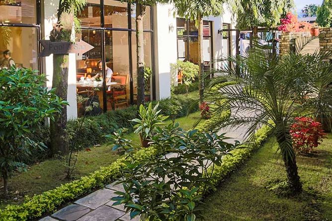 Garden