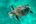 a turtle eating a plastic bag