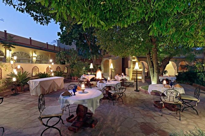 Dinner in the garden