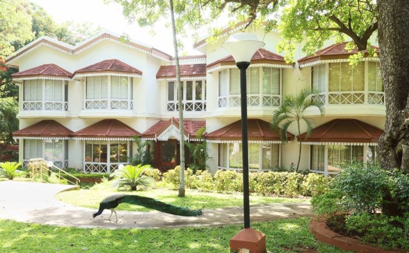 Colonial bungalows