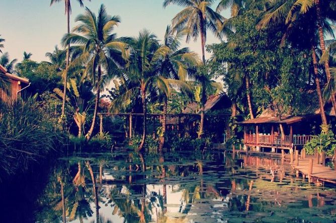 Lotus pond setting