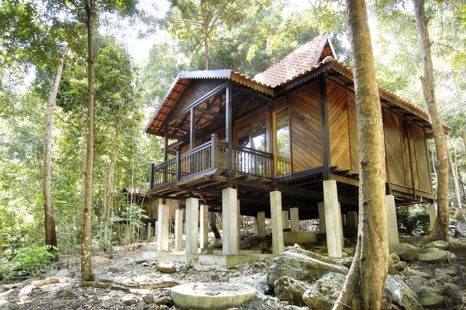Rainforest chalet