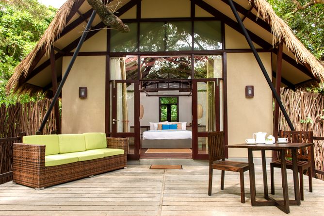 Jungle Cluster Cabin