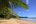a palm tree on a beach