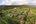 Aerial view of Sanak Retreat Bali Indonesia