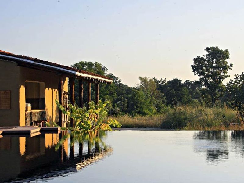 Pool at Samode Safari Lodge