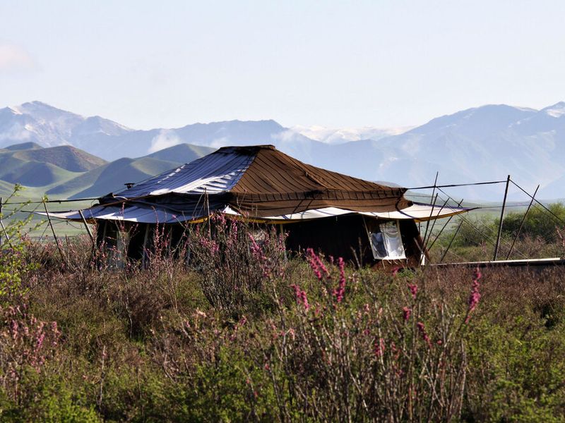 Tent in nature at Norden Camp