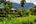 Green rice paddies at The River Resort