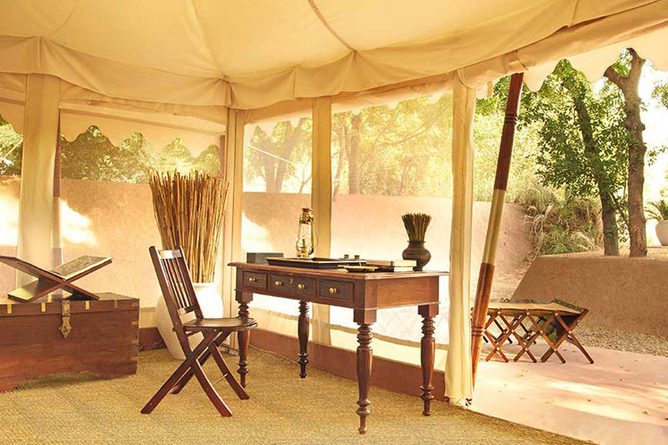 Cool and classic safari style