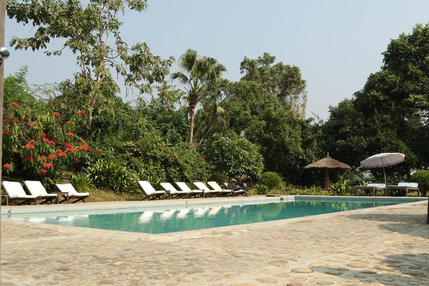 Swimming pool at Tiger Tops Tharu Lodge