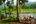 Terrace overlooking river at Borderlands Camp