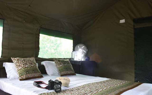 Mahoora Tented Camp - Kumana NP