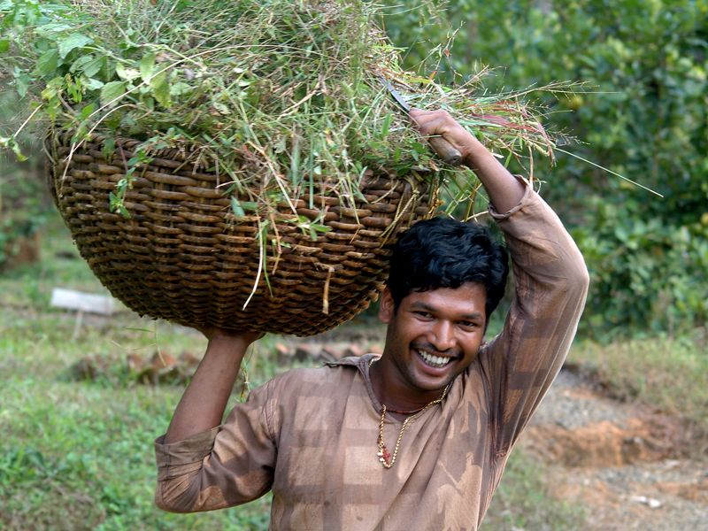 Dewalokam farm