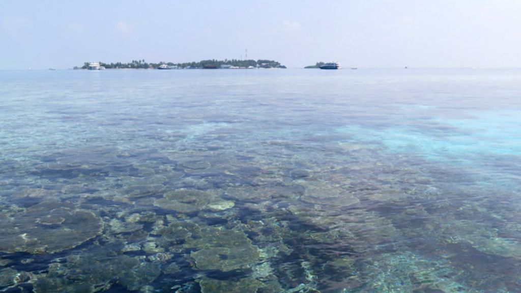 Snorkelling Maldives
