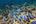 a school of fish swimming in the ocean