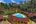 a pool in a forest
