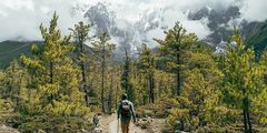 a man walking on a trail in a forest