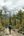 a man walking on a trail in a forest