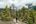 a man walking on a trail in a forest
