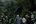 a group of people looking at plants