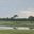 a group of birds in a field