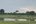 a group of birds in a field