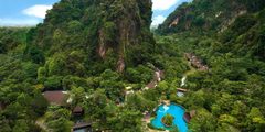 a pool in a forest