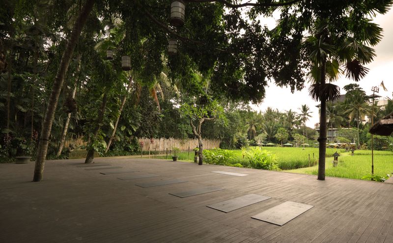 Banyan deck