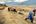 two people walking on a dirt path with donkeys