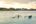 Fishing boats in the sea at sunset Belmond Jimbaran Puri Bali Indonesia