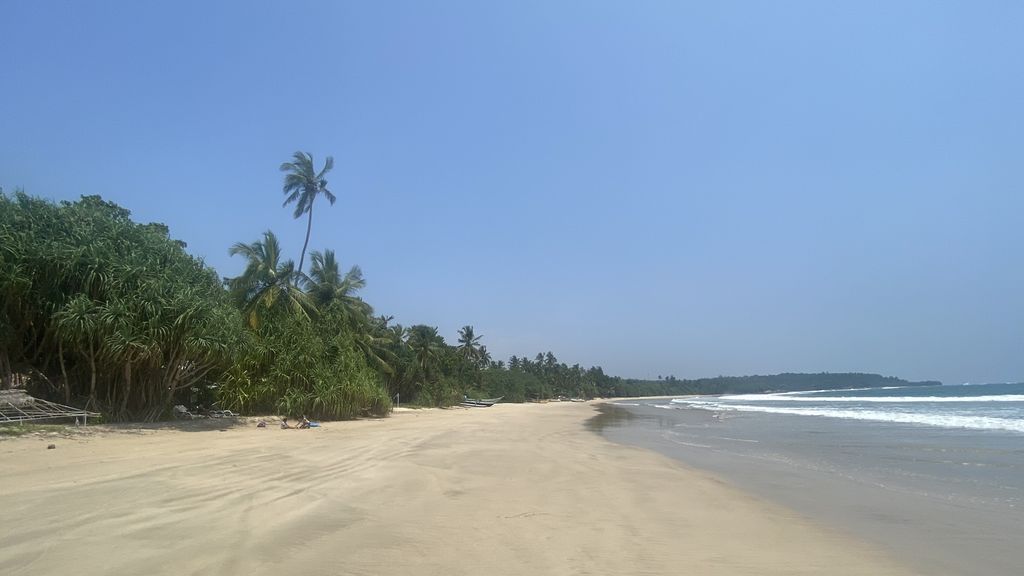 Calm shoreline Sri Lanka