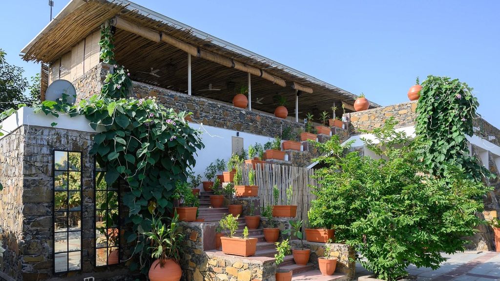 Exterior of terrace restaurant with terracotta plant pots and greenery
