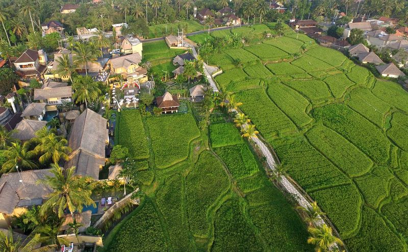 Aerial view of the resort