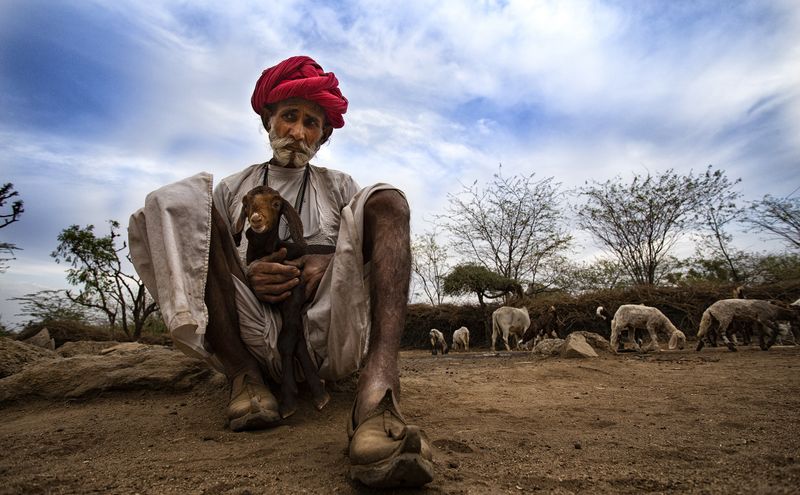 Local shepherd