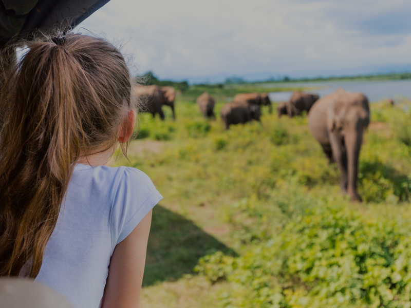Sri Lanka girl looking at elephant