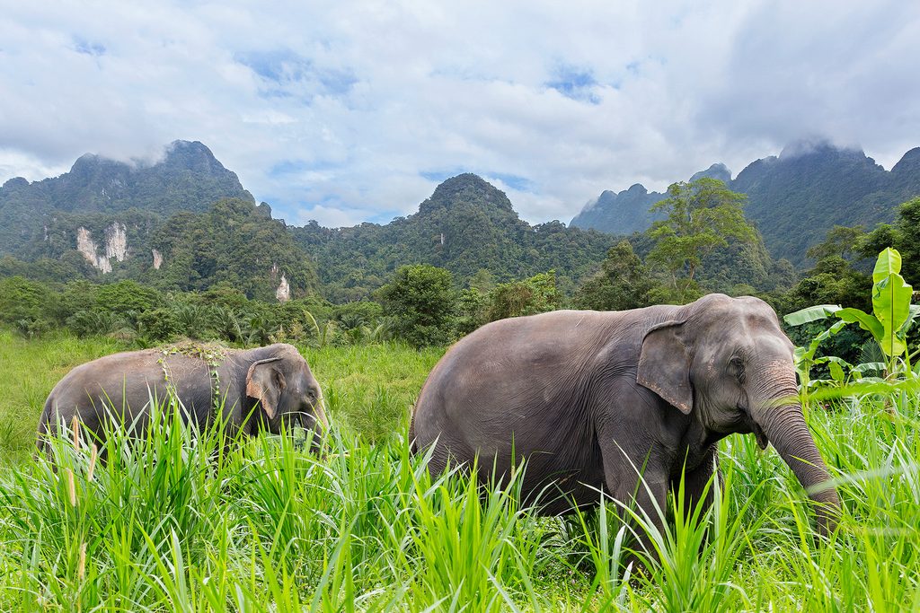 Elephant Hills, Thailand