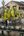 a group of people walking on a bridge