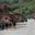 a group of people walking on a road