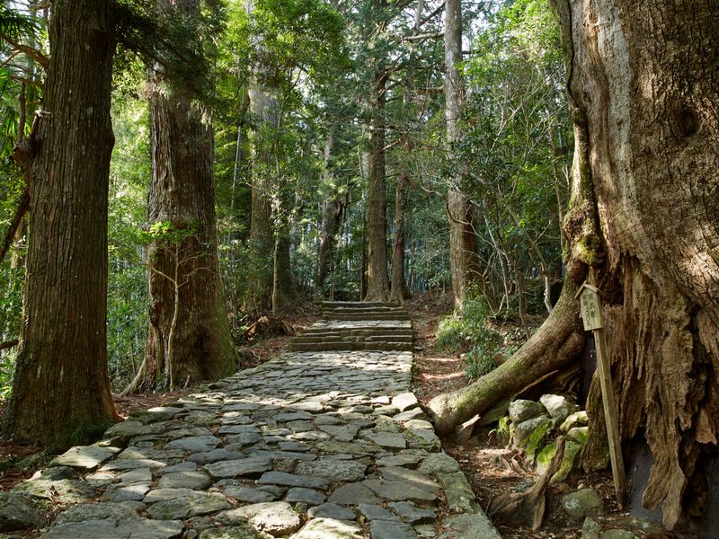 Kumano Kodo