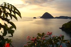 a view of a body of water and a flower