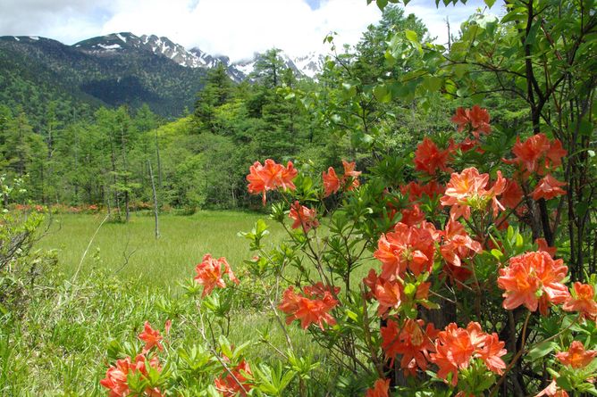 Stunning natural surroundings