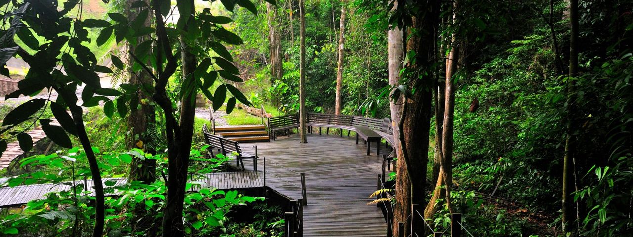MY nature resort beach