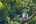 a monkey sitting on a tree branch