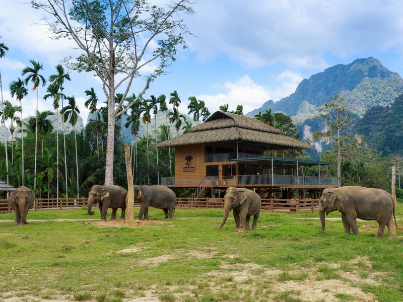 Elephant Hills