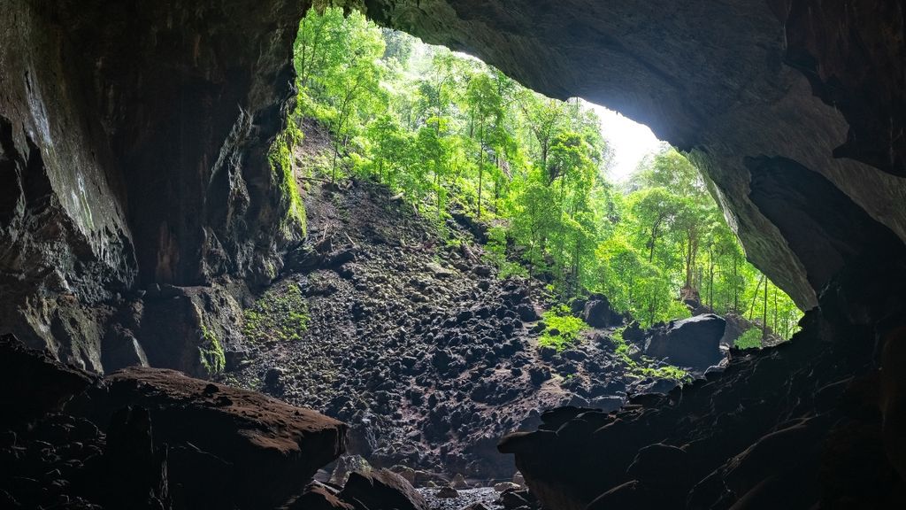 Entrance to Mulu cave Borneo