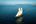 a sailboat in the water