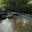 a river flowing through a forest