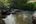 a river flowing through a forest