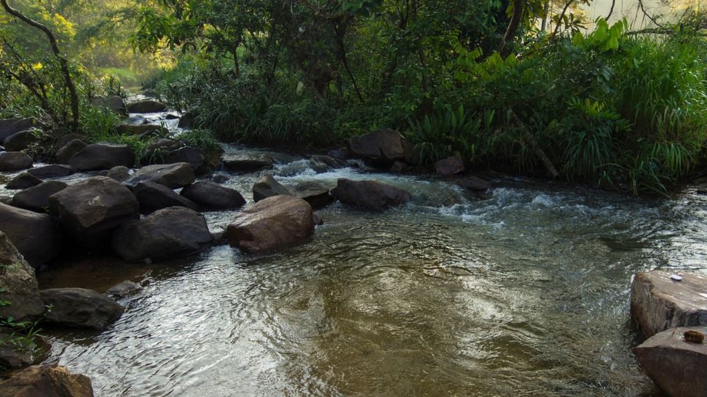 Kelani River Kitulgala Sri Lanka